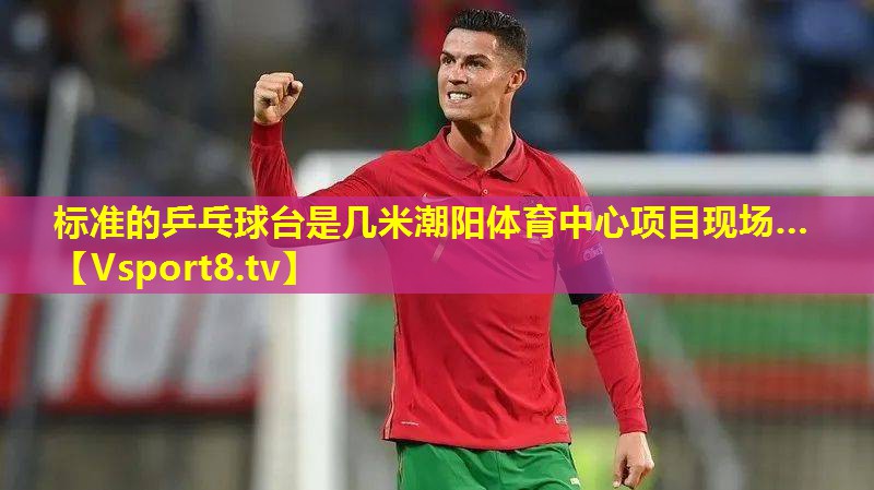 标准的乒乓球台是几米潮阳体育中心项目现场…