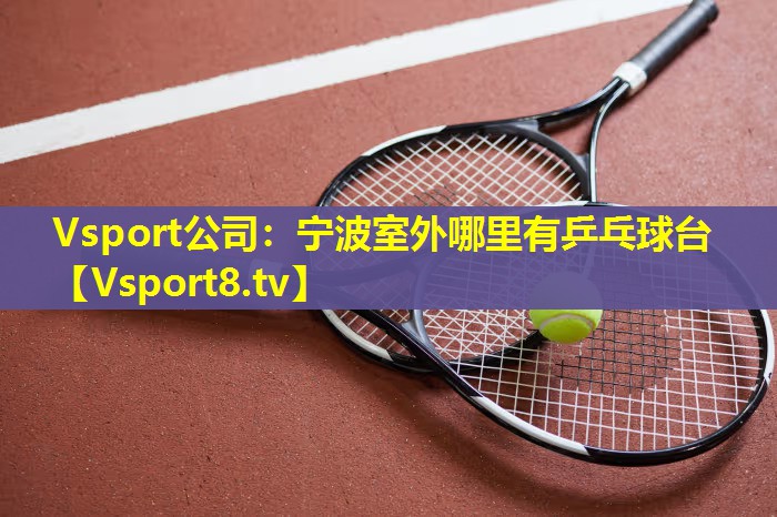 Vsport公司：宁波室外哪里有乒乓球台
