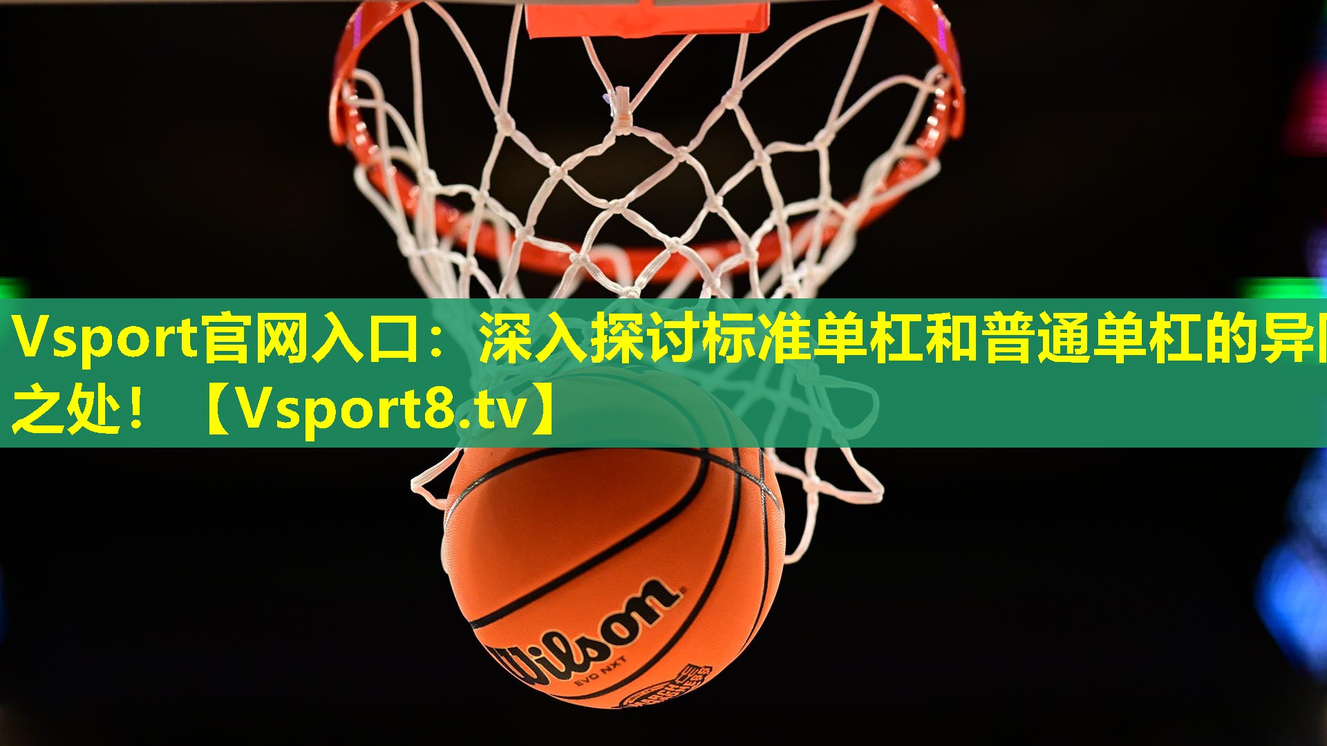 Vsport官网入口：深入探讨标准单杠和普通单杠的异同之处！