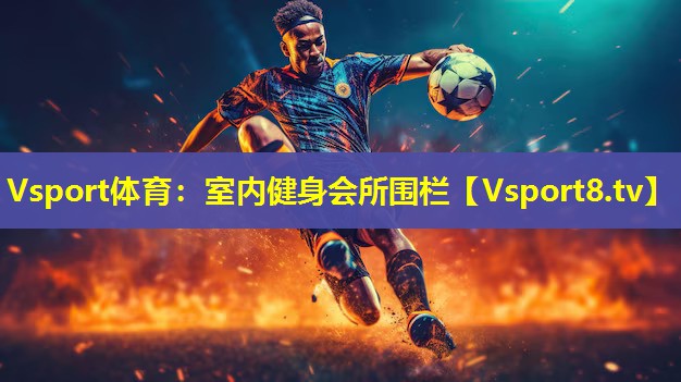Vsport体育：室内健身会所围栏