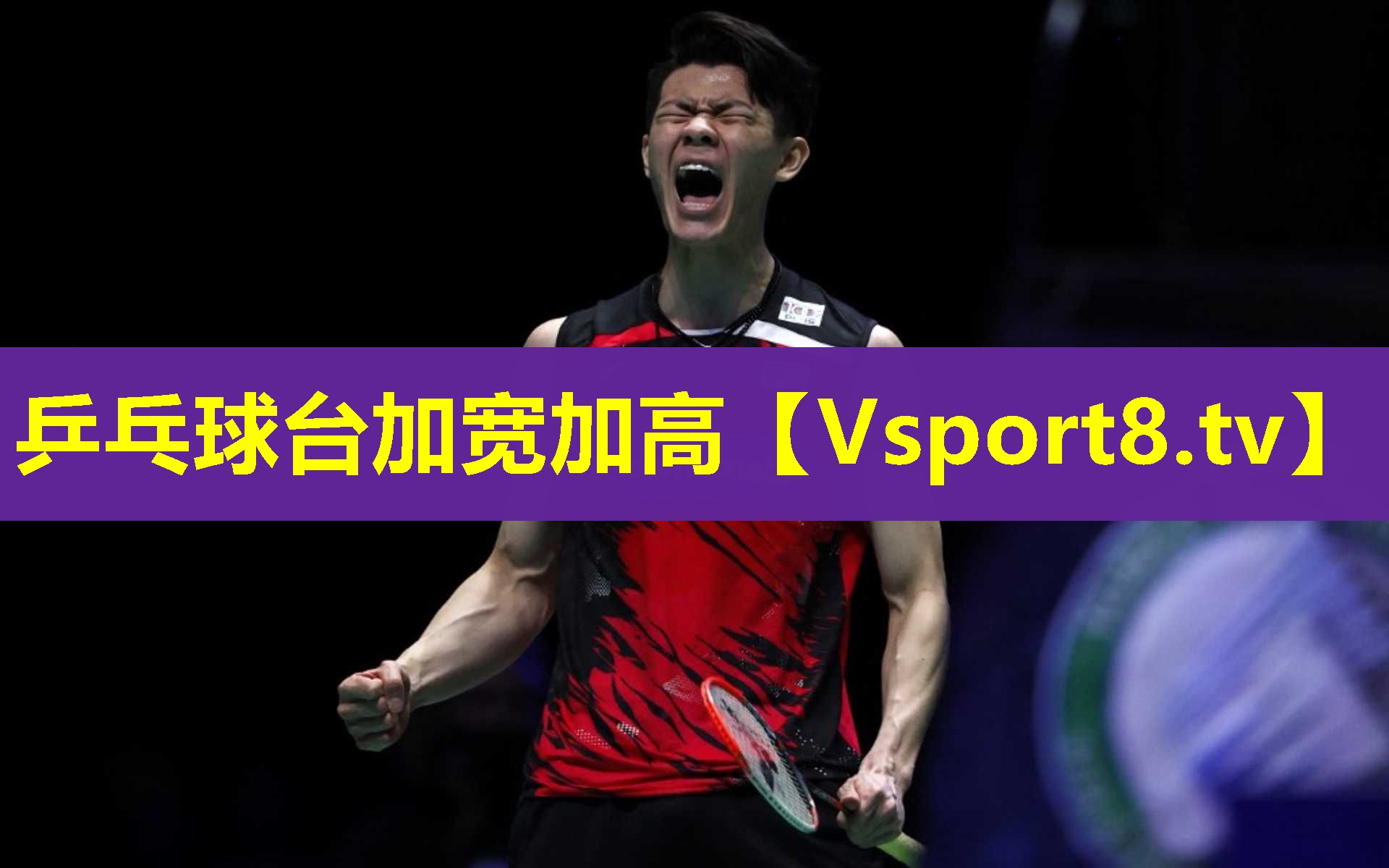 乒乓球台加宽加高 乒乓球台加宽加高