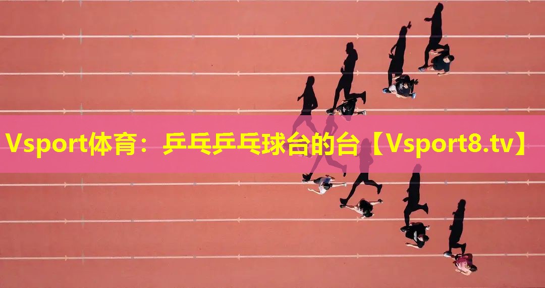 乒乓乒乓球台的台