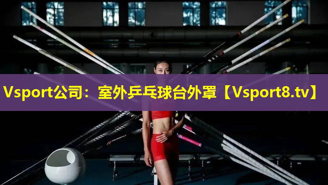 室外乒乓球台外罩 室外乒乓球台外罩