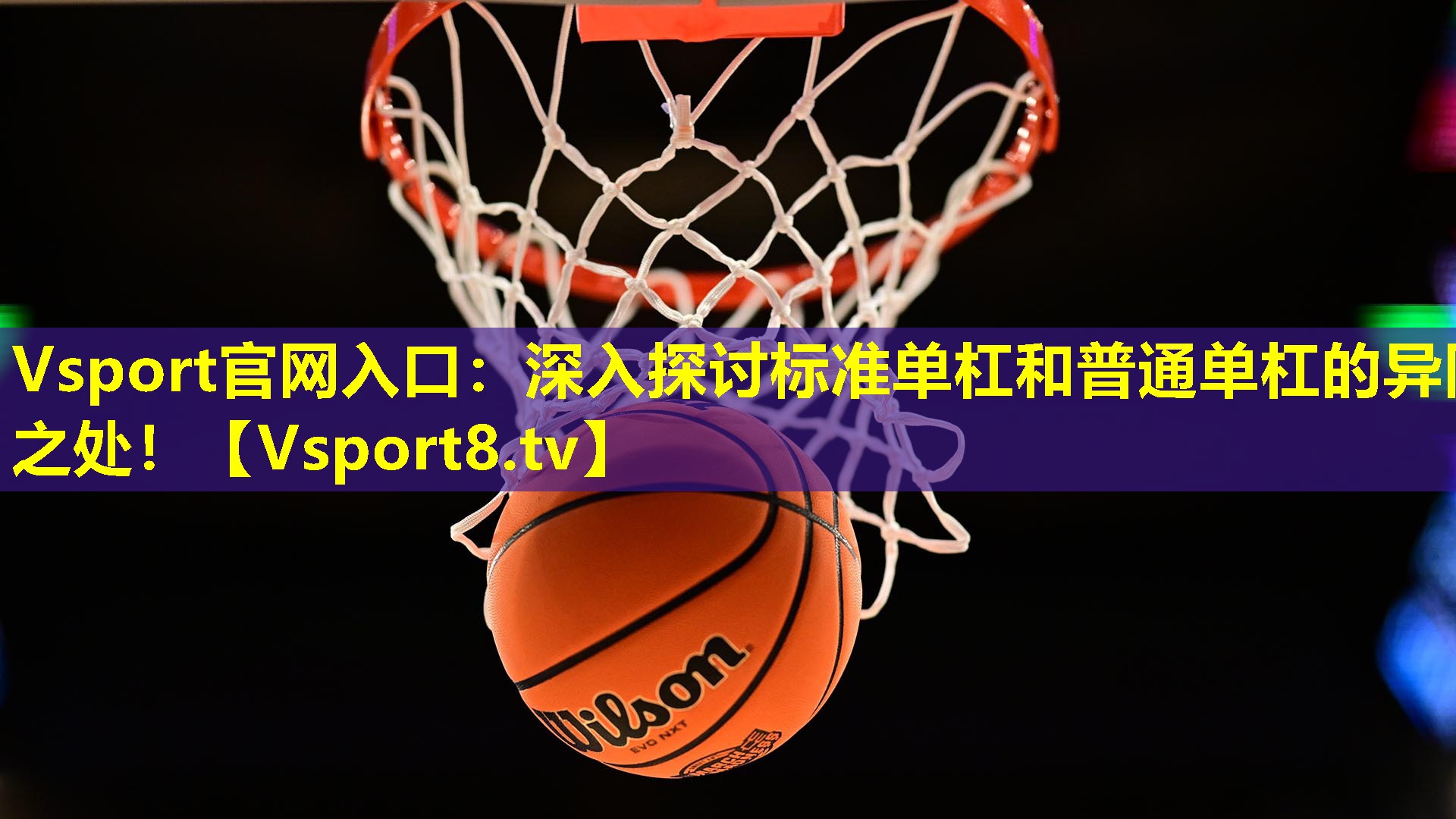 深入探讨标准单杠和普通单杠的异同之处！